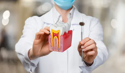A dentist in a white coat holds a model of a tooth and a dental tool in a treatment room.